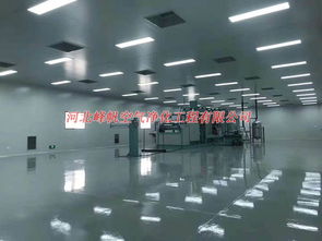 承接河北無(wú)菌凈化工程施工 保定制藥廠(chǎng)凈化廠(chǎng)房裝修